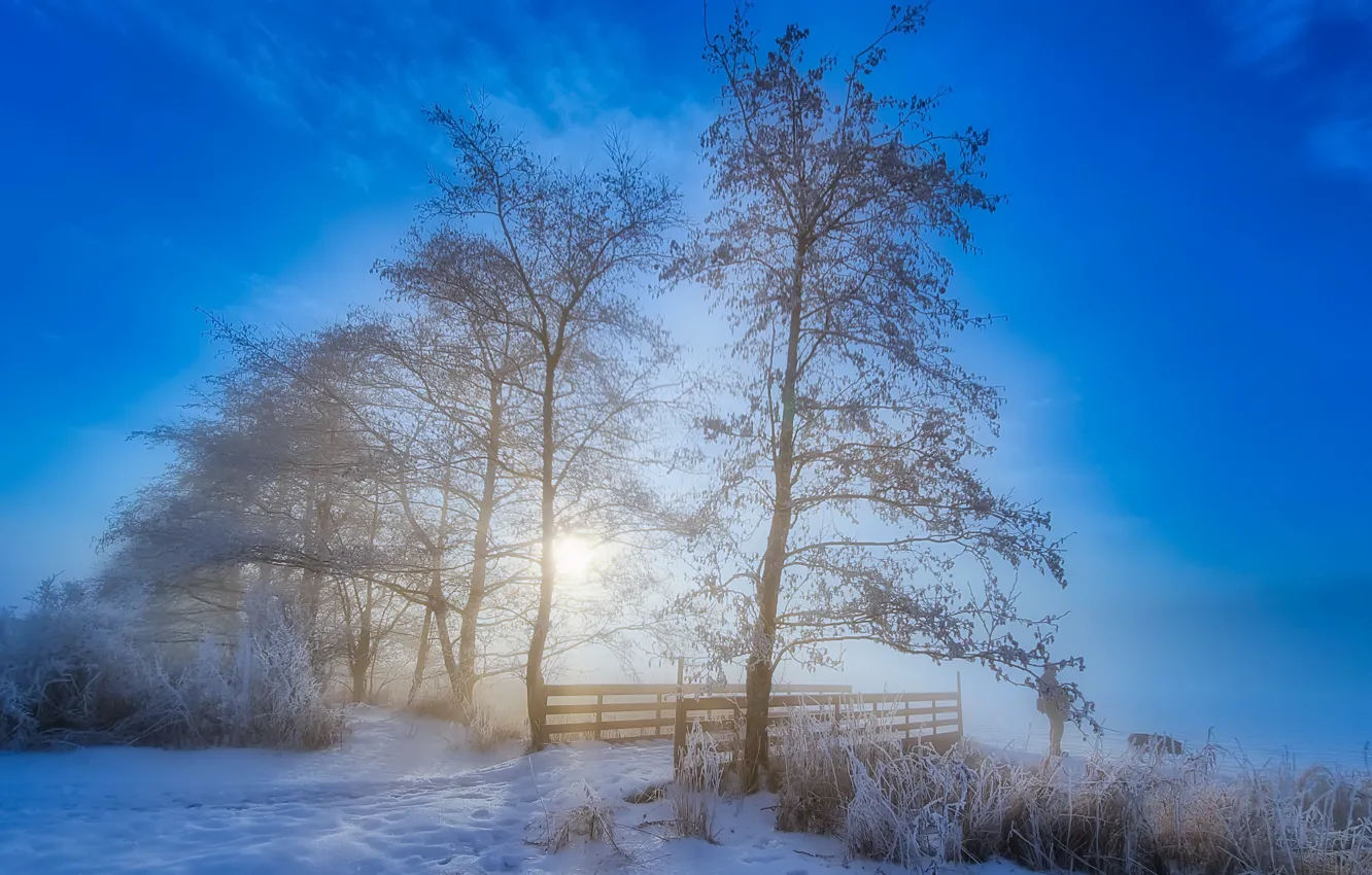 Photo wallpaper winter, light, bridge