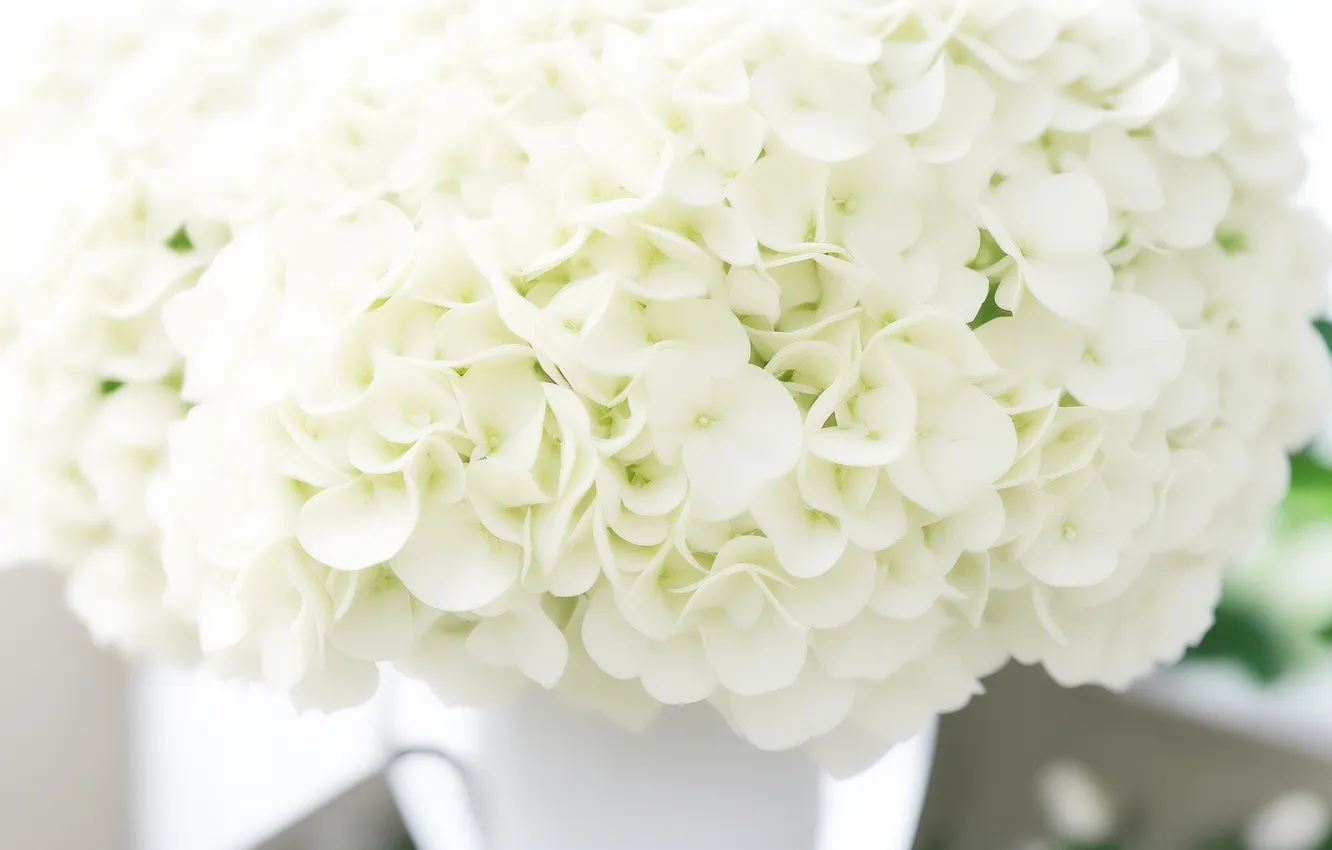 Photo wallpaper white, flowers, green, green, tenderness, figure, colored, plant