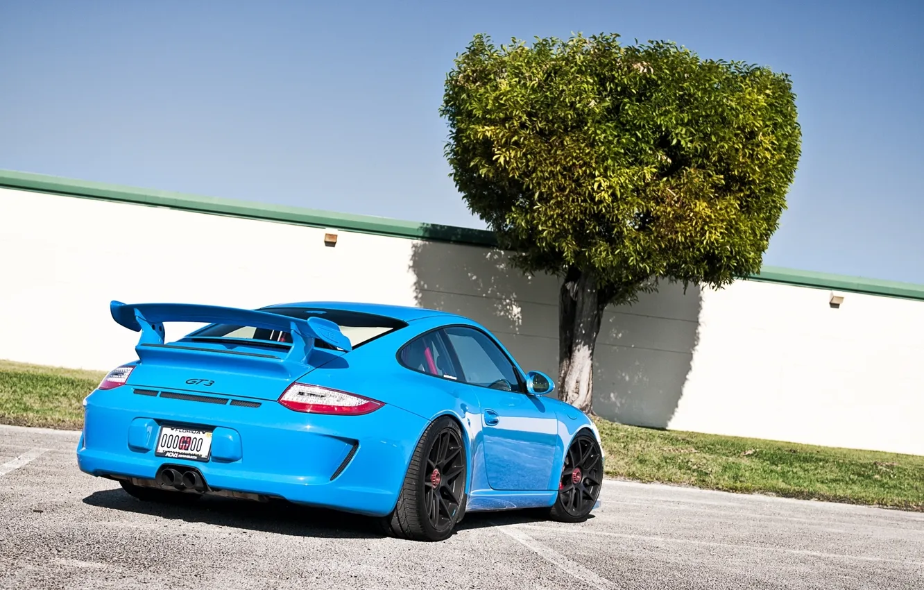 Photo wallpaper the sky, trees, blue, tuning, the fence, 911, Porsche, supercar