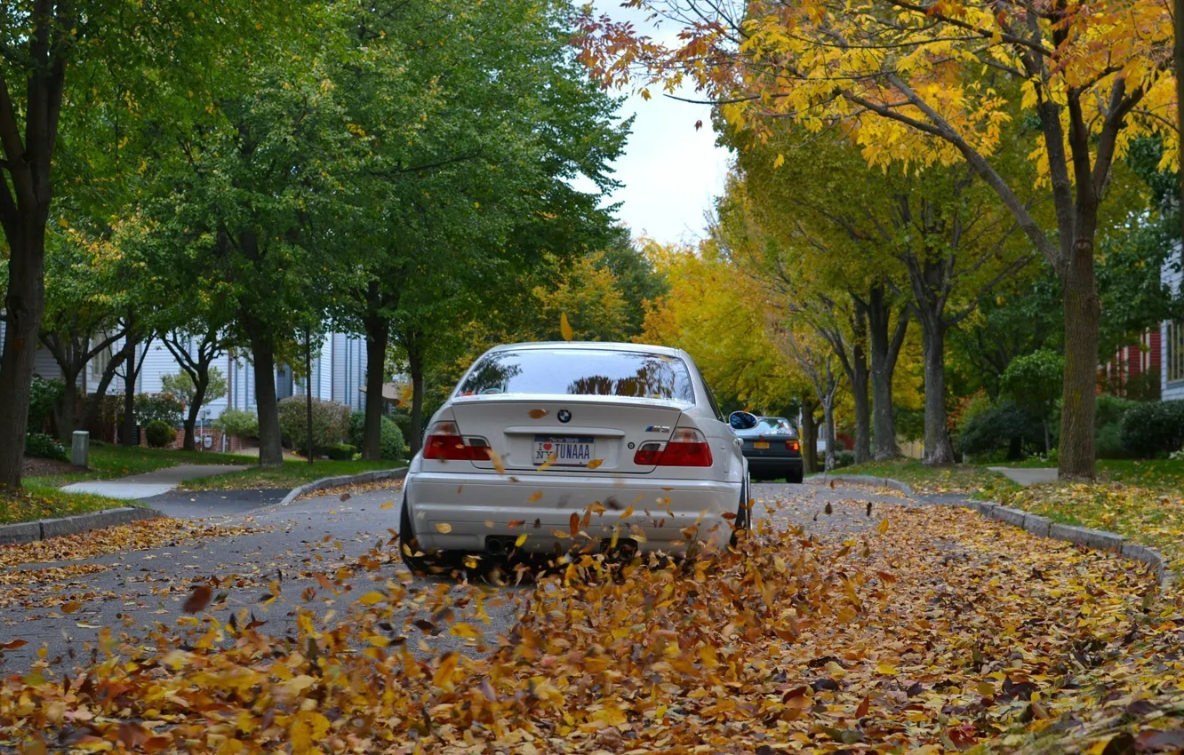 Photo wallpaper road, autumn, leaves, BMW, White, Coupe, E46