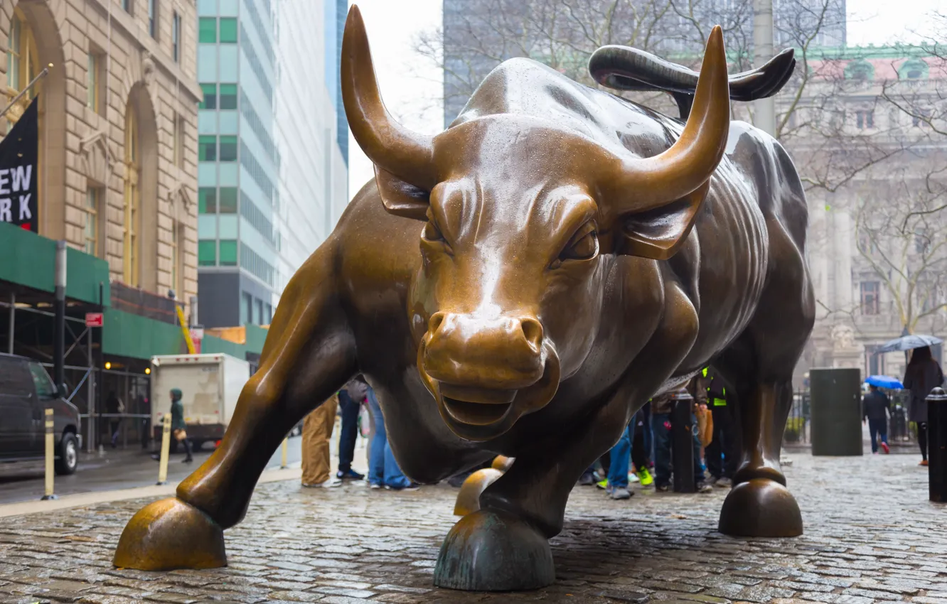 Photo wallpaper New York, pose, bronze bull