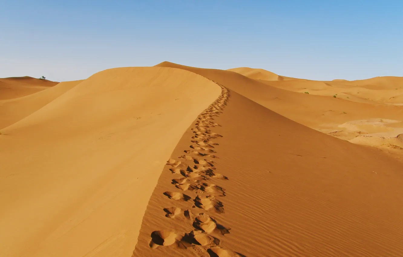 Photo wallpaper traces, nature, desert, desert, nature