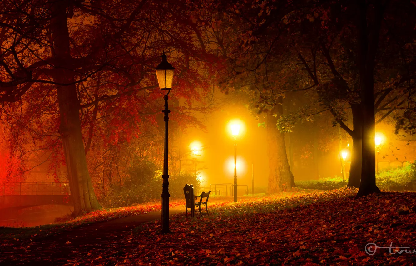 Photo wallpaper autumn, light, trees, bench, night, bridge, Park, twilight