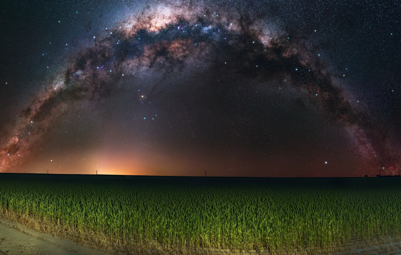 Photo wallpaper field, stars, night