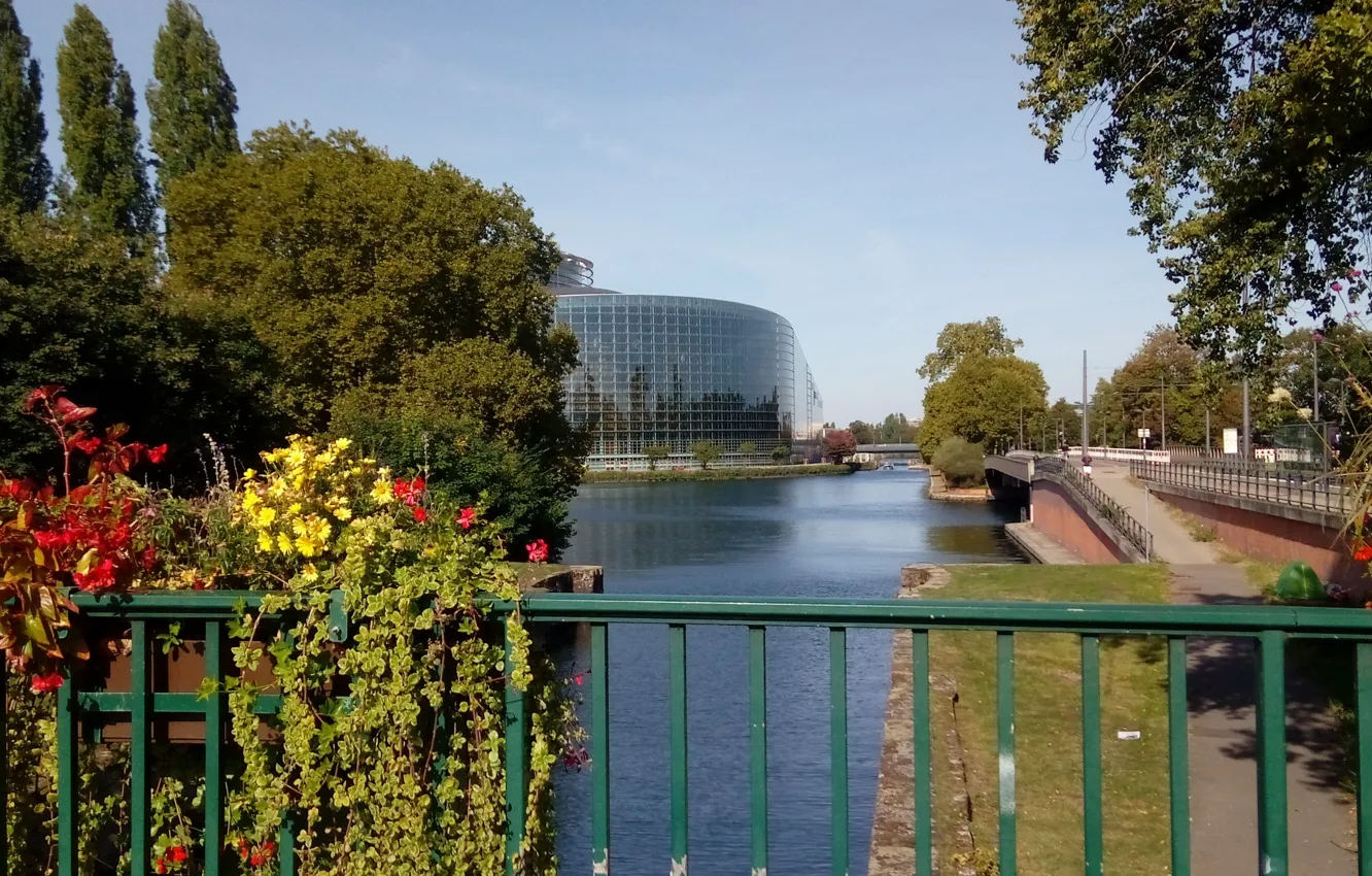 Photo wallpaper autumn, flowers, bridge, river, France, channel, Strasbourg, The European Parliament