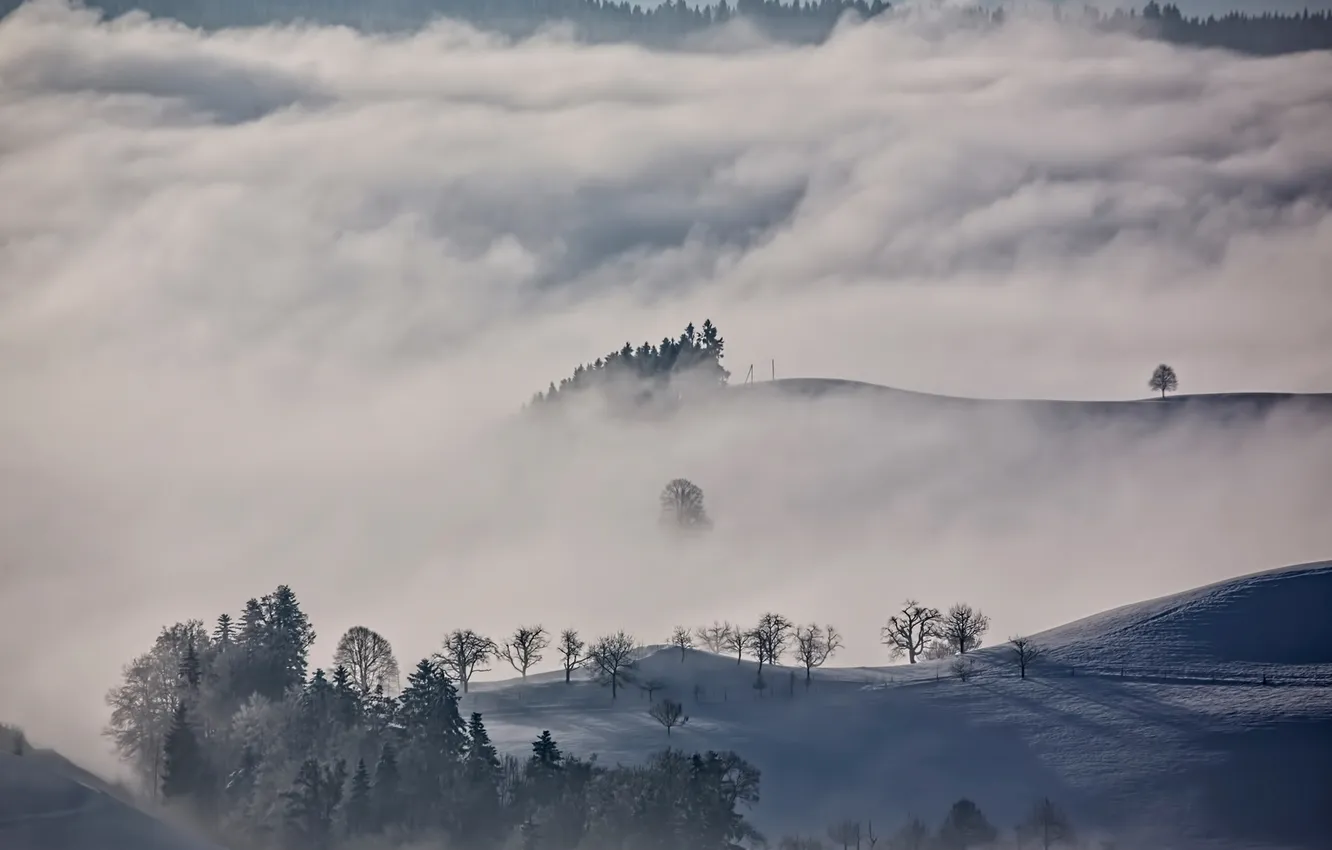 Photo wallpaper winter, clouds, snow, trees, mountains