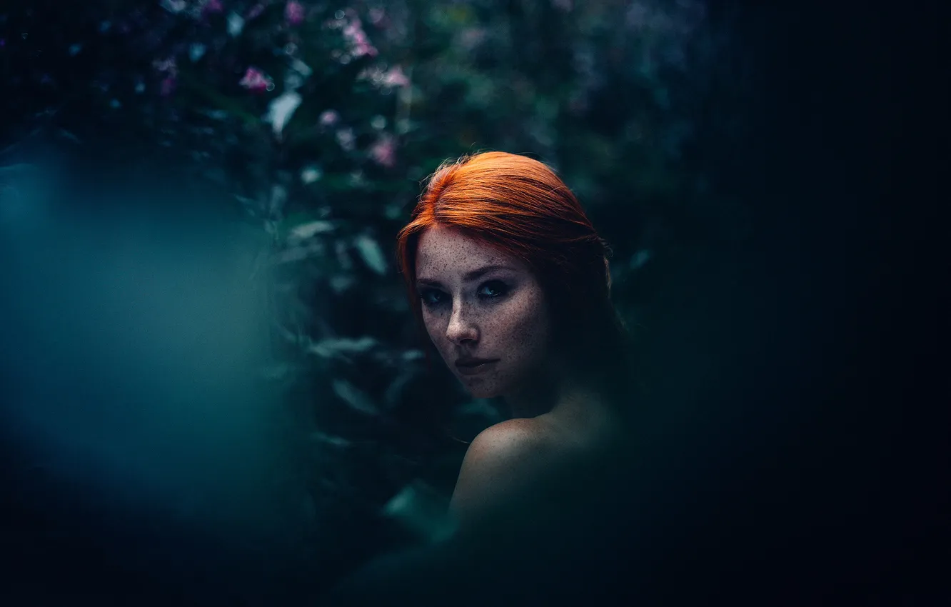 Photo wallpaper freckles, sponge, redhead, Michael Farber