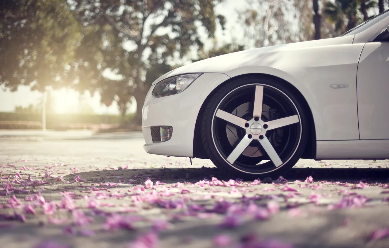 Photo wallpaper asphalt, macro, glare, spring, petals, wheel, BMW, nose