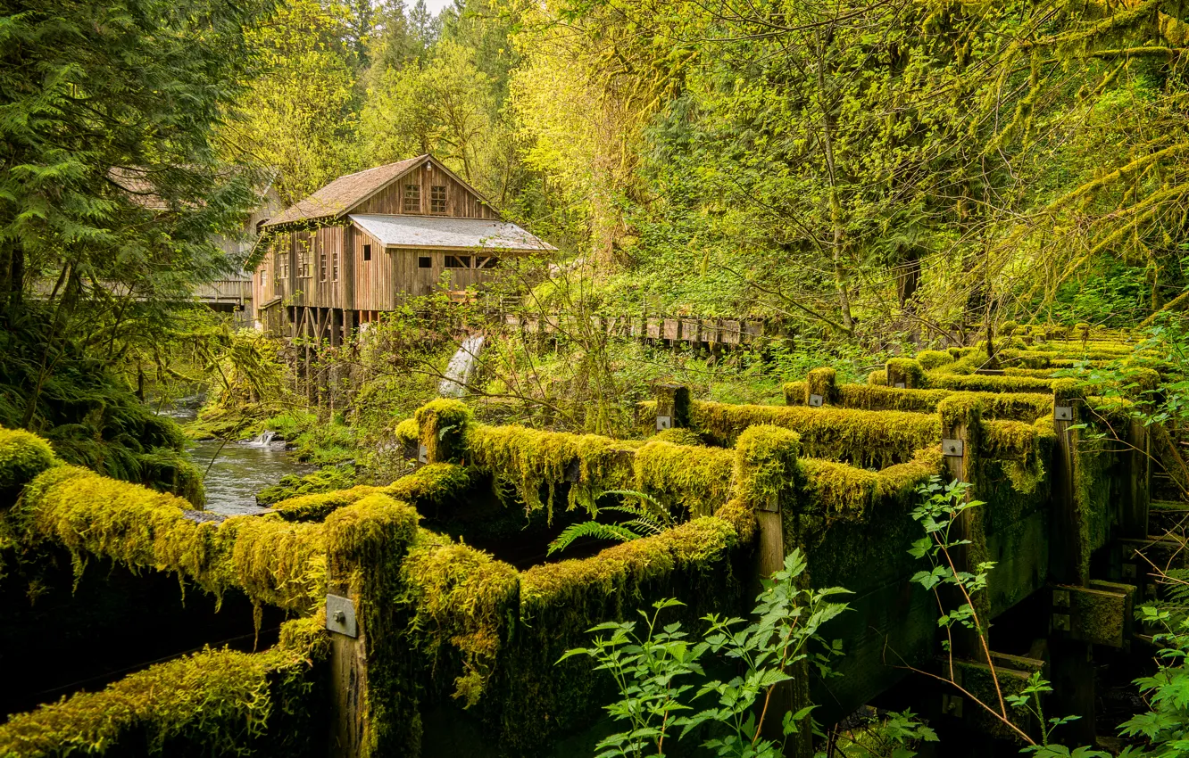 Photo wallpaper forest, trees, river, mill, USA, Washington, Cedar Creek, Grist Mill