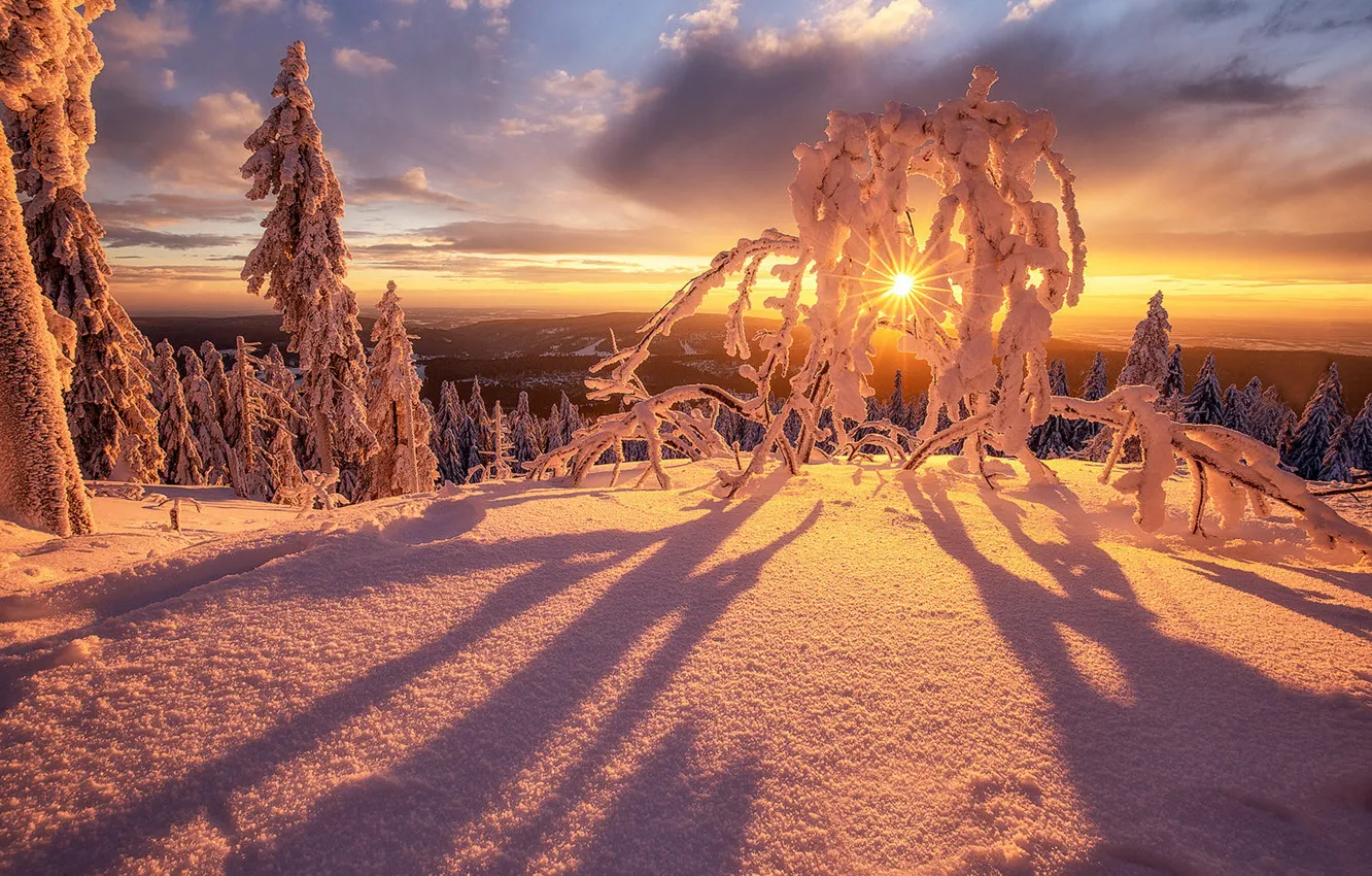 Photo wallpaper winter, forest, the sky, the sun, clouds, rays, light, snow