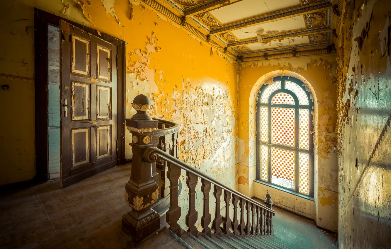 Photo wallpaper background, wall, ladder