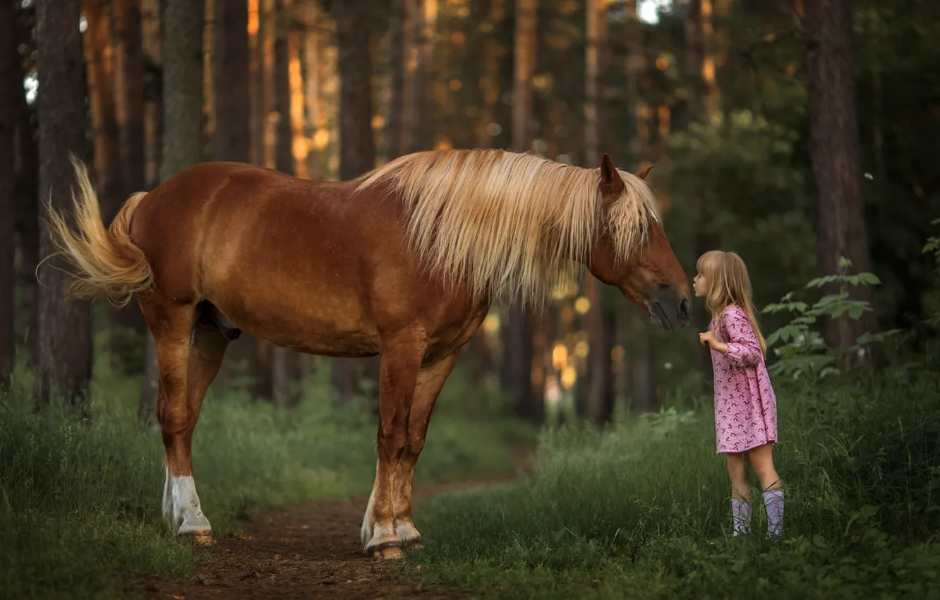 Photo wallpaper forest, horse, friendship, girl