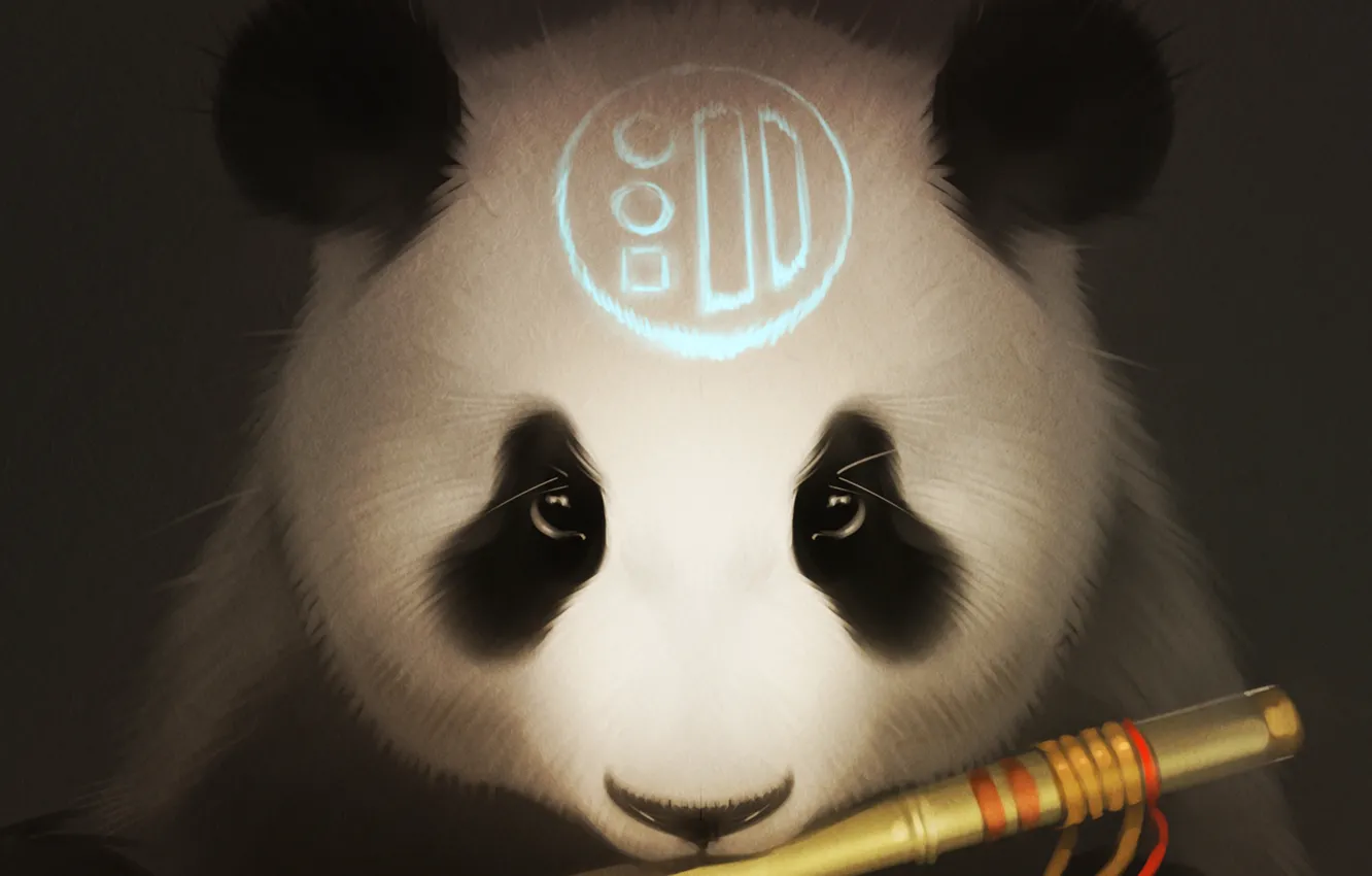 Photo wallpaper look, bear, art, Panda, flute