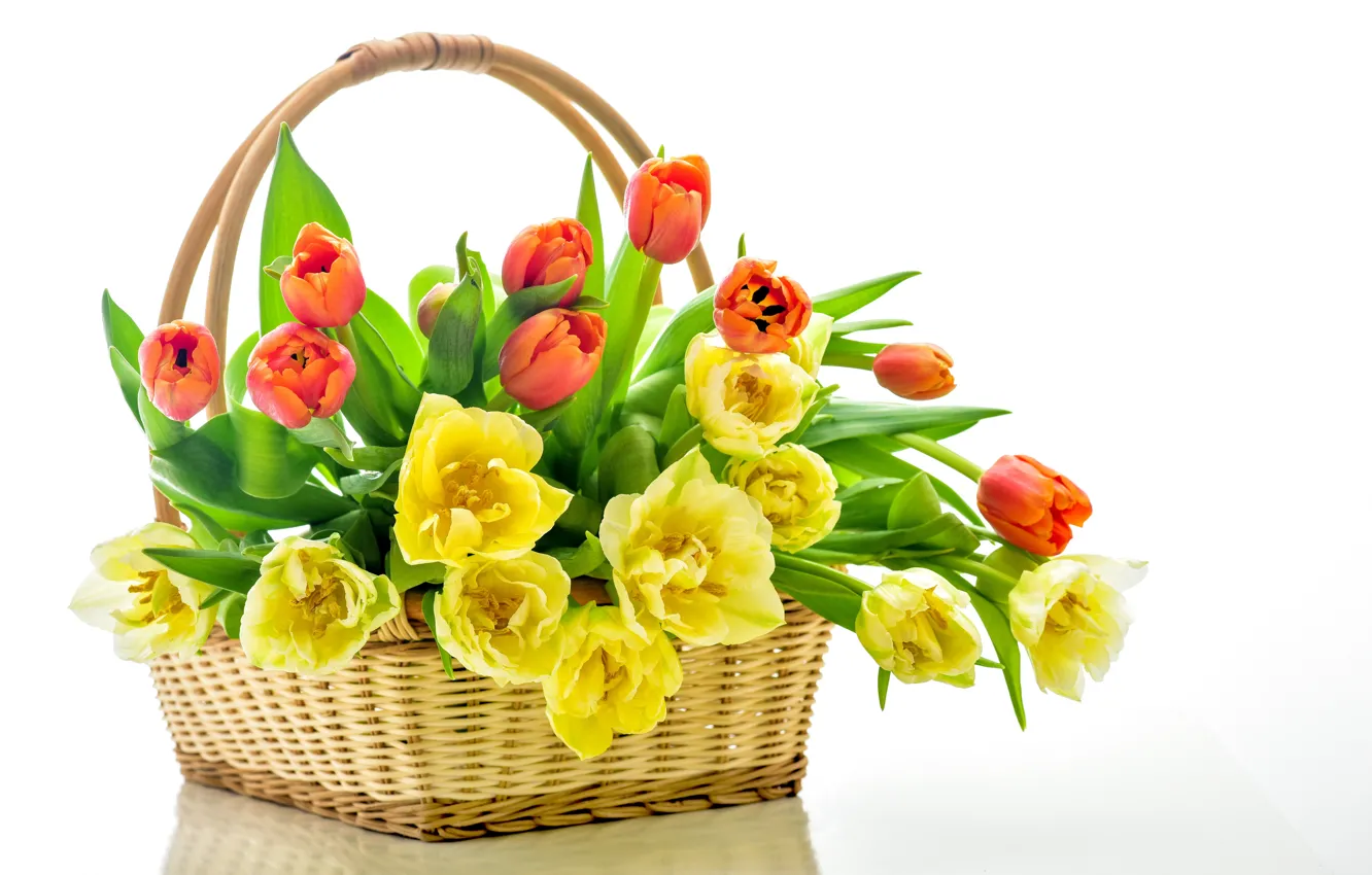 Photo wallpaper basket, tulips, flowers, tulips, bouquet, basket