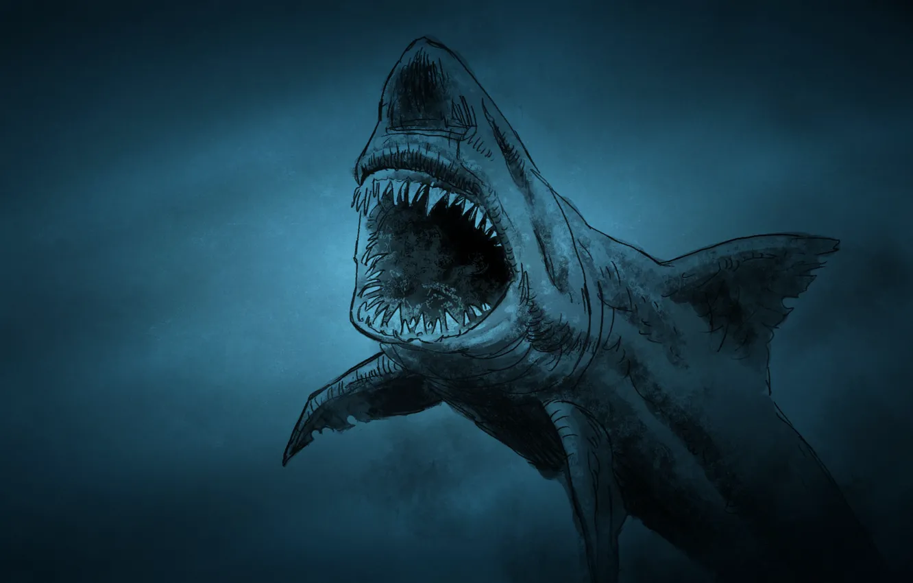 Wallpaper fish, shark, shark, fish, toothy, dark background images for