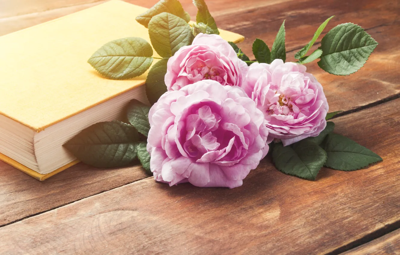 Photo wallpaper table, background, roses, bouquet, book