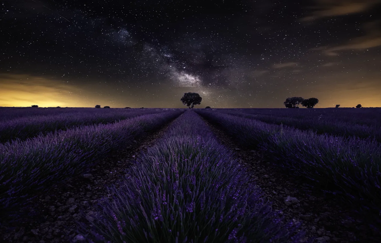 Photo wallpaper field, the sky, stars, sky, field, stars, lavender, lavender