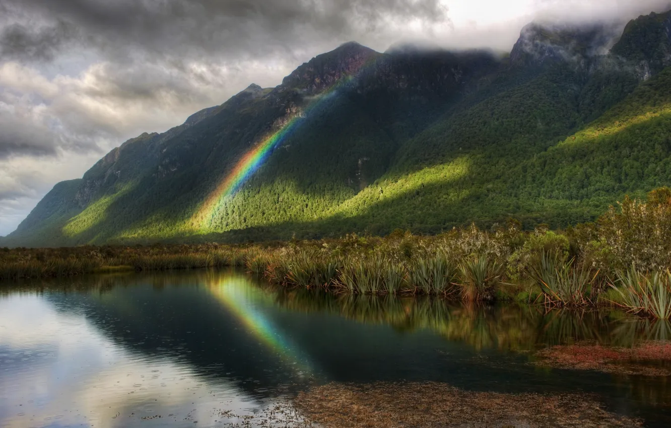 Photo wallpaper trees, rain, rainbow, pond