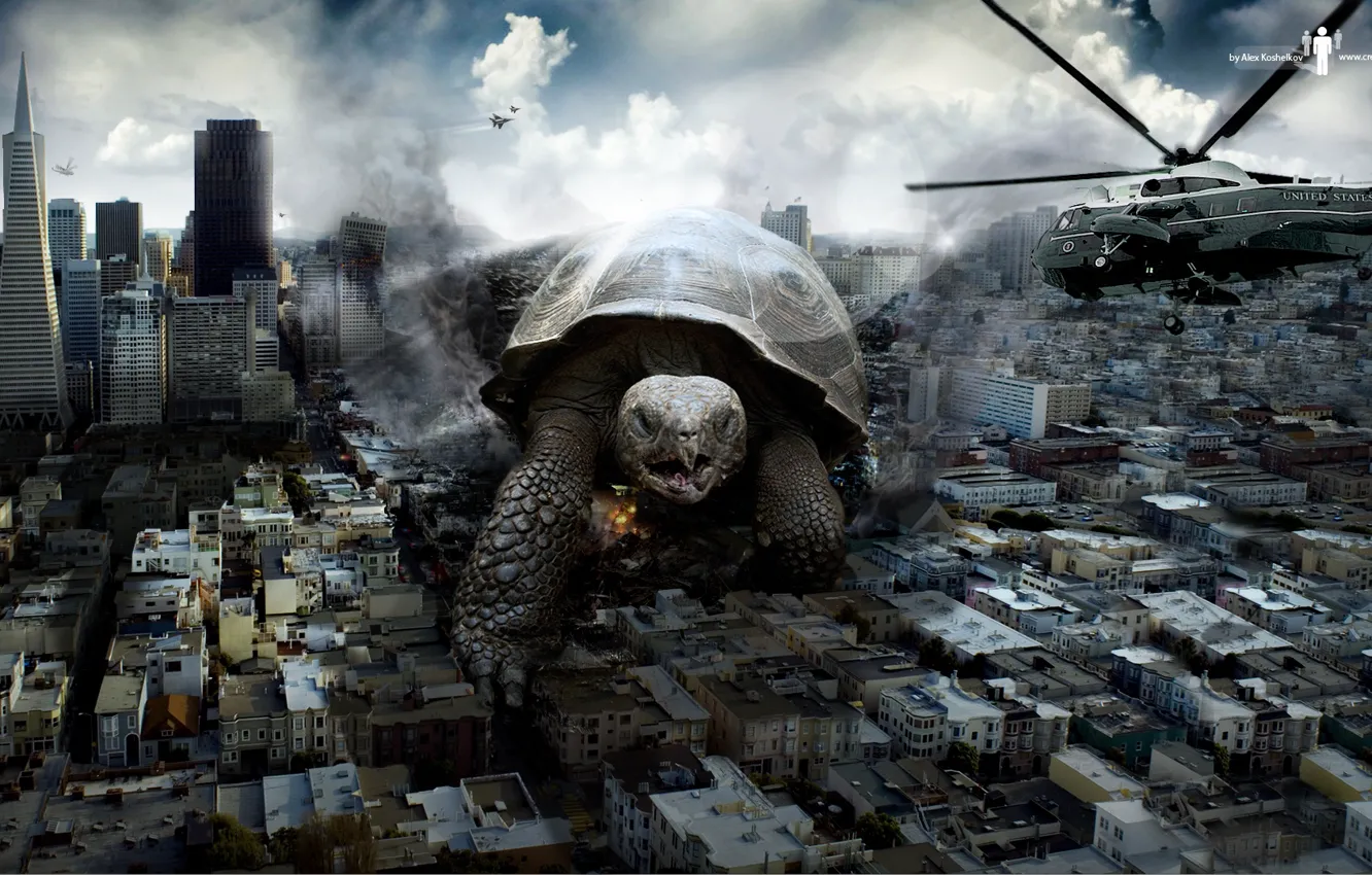 Photo wallpaper the city, building, turtle, destruction, helicopter, turtle attacking