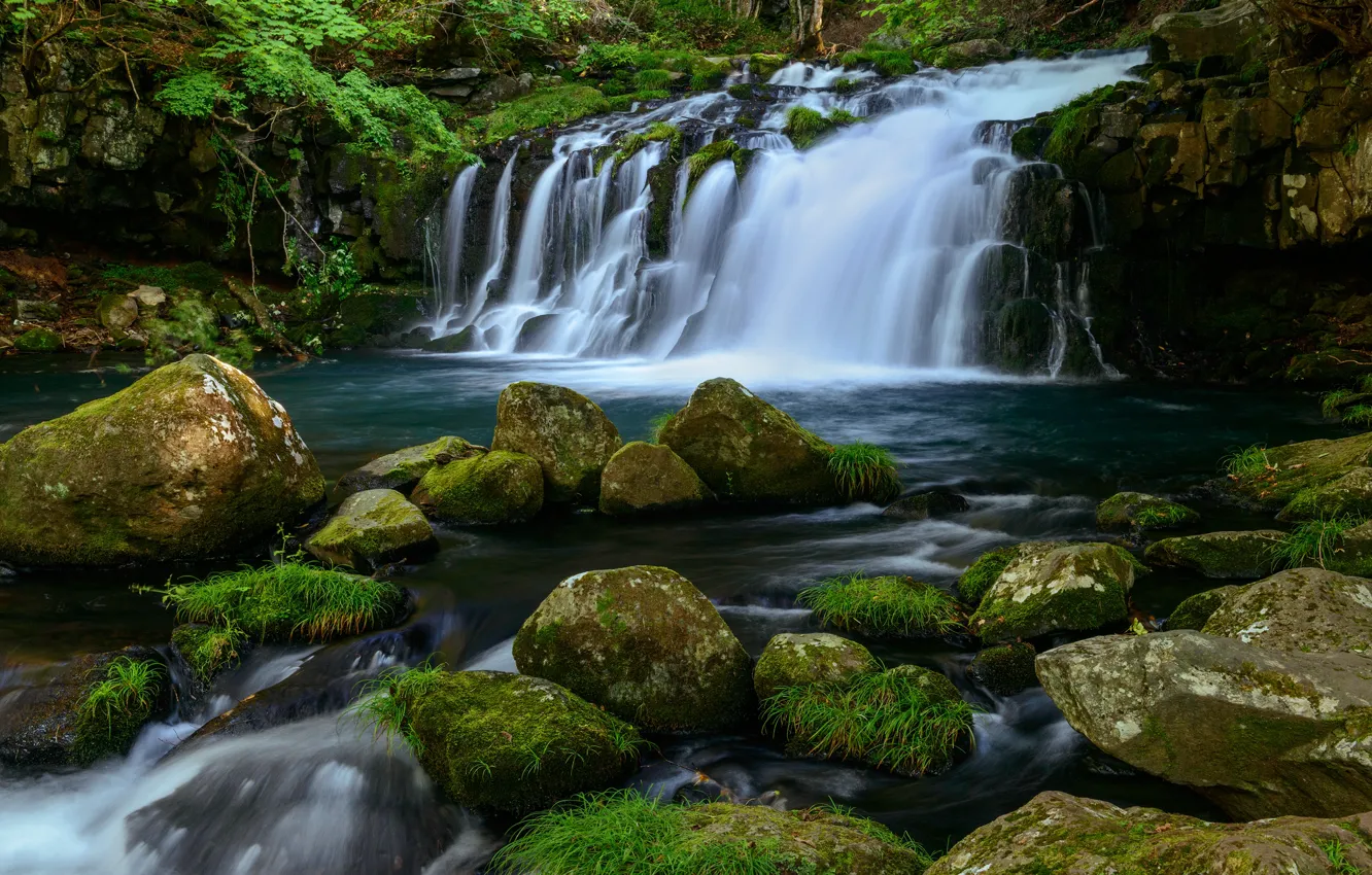 Photo wallpaper greens, summer, grass, water, stones, shore, vegetation, waterfall