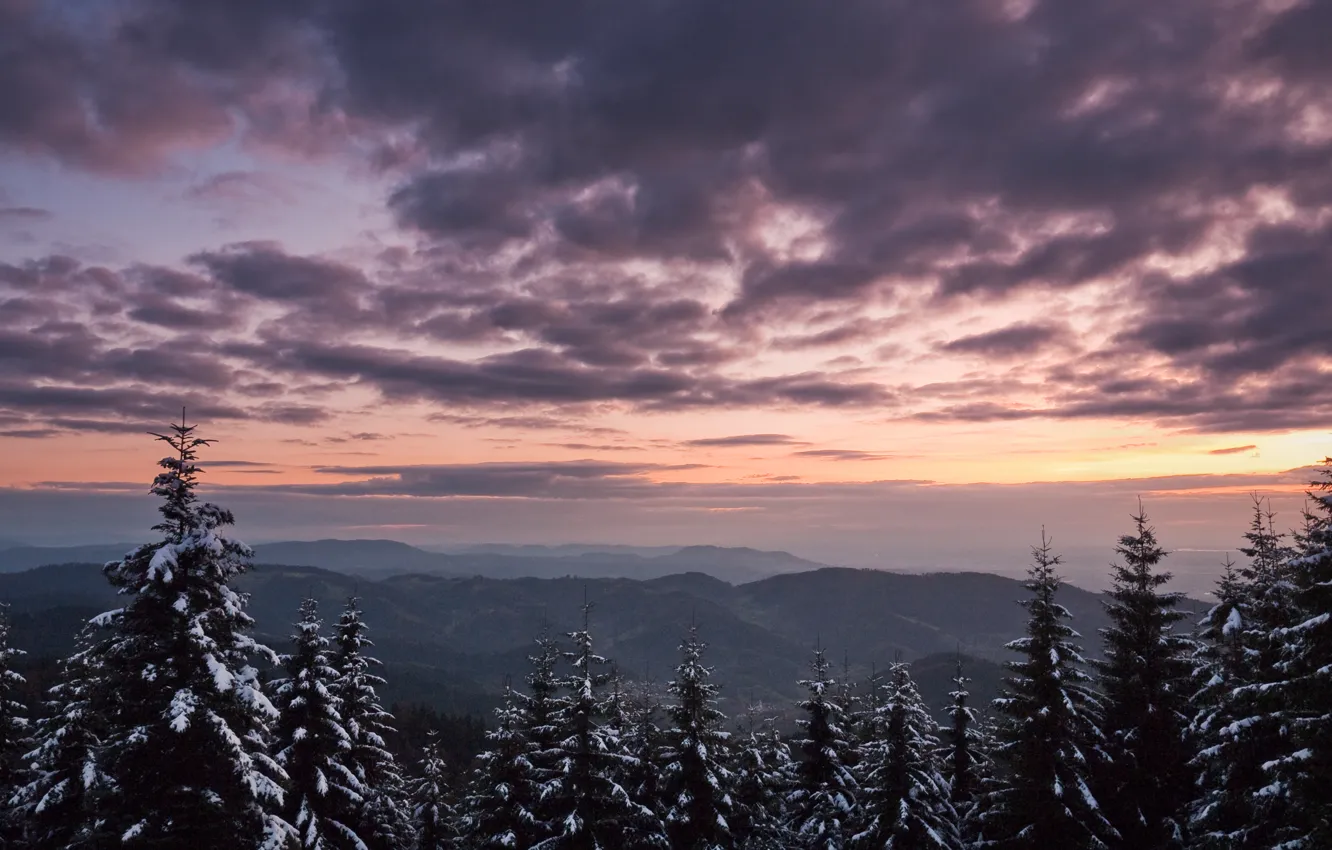 Photo wallpaper winter, the sky, snow, trees, mountains, nature, the wind, tops