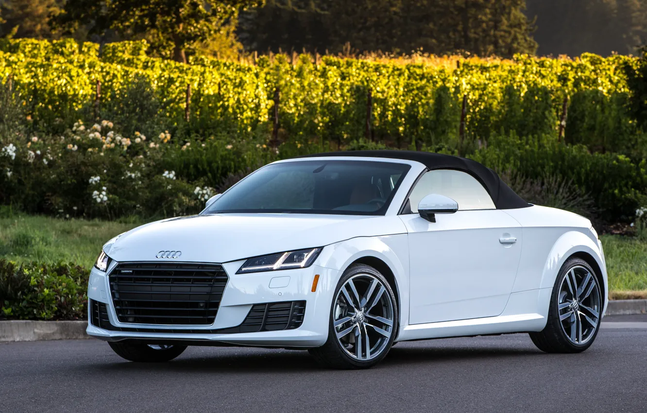 Photo wallpaper Audi, Audi, Roadster, Roadster, quattro, TFSI, US-spec, 2015