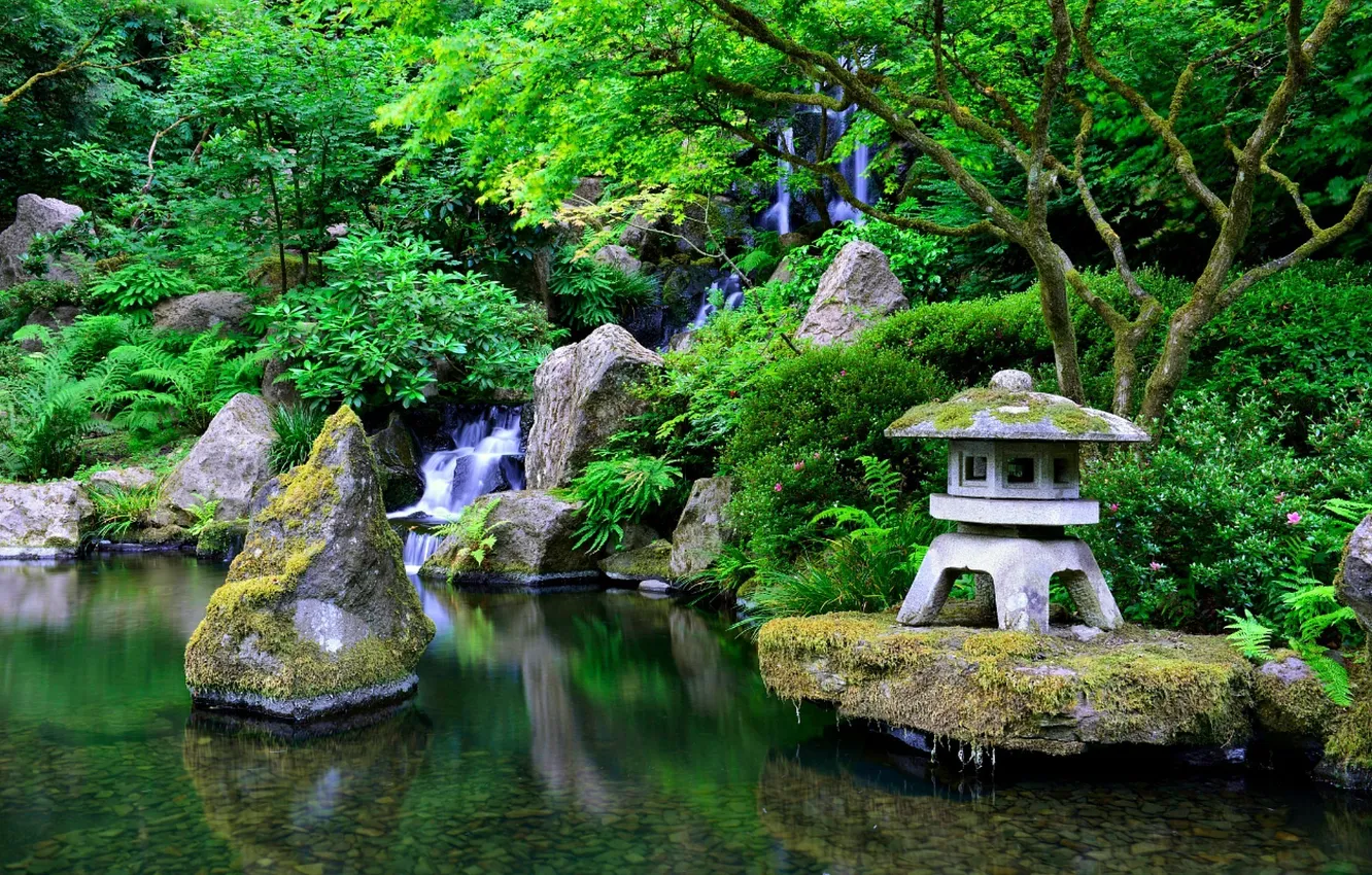 Photo wallpaper greens, water, stones, Japan, garden