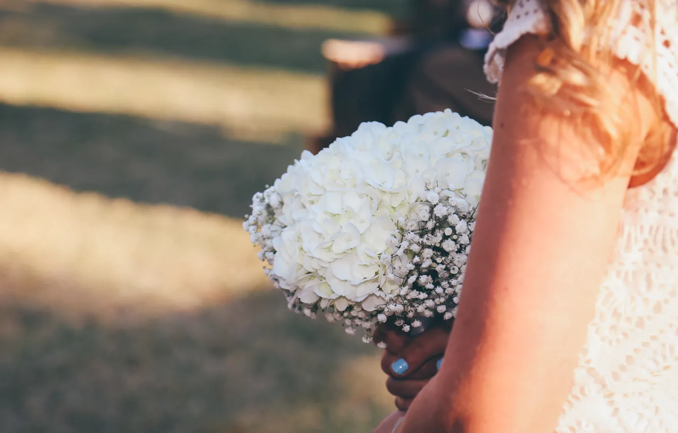 Photo wallpaper flowers, bouquet, white