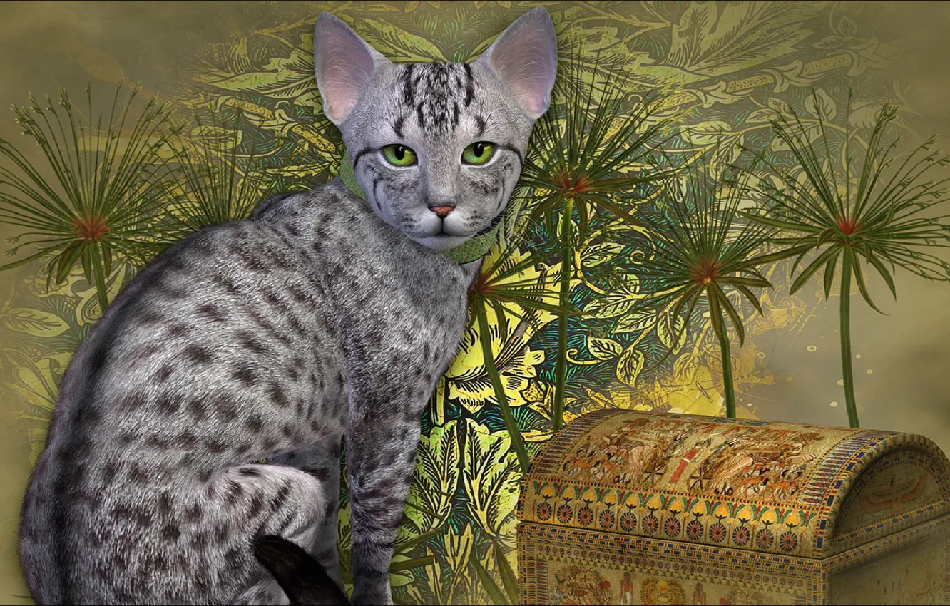 Photo wallpaper cat, chest, cat, rendering, trunk, other, Egyptian, other