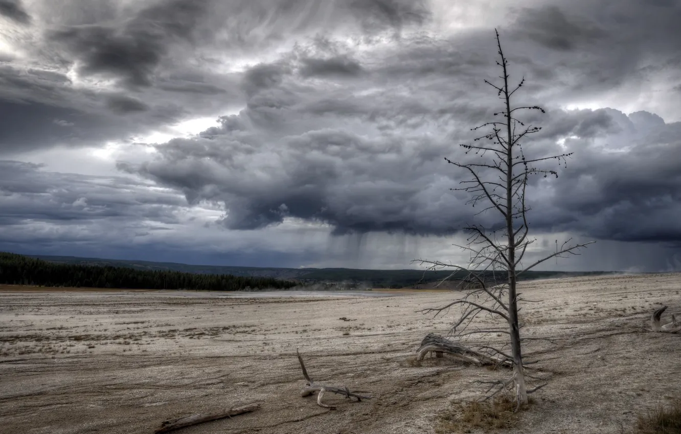Photo wallpaper nature, Yellowstone National Park, Fountain Paintpots Nature Trail