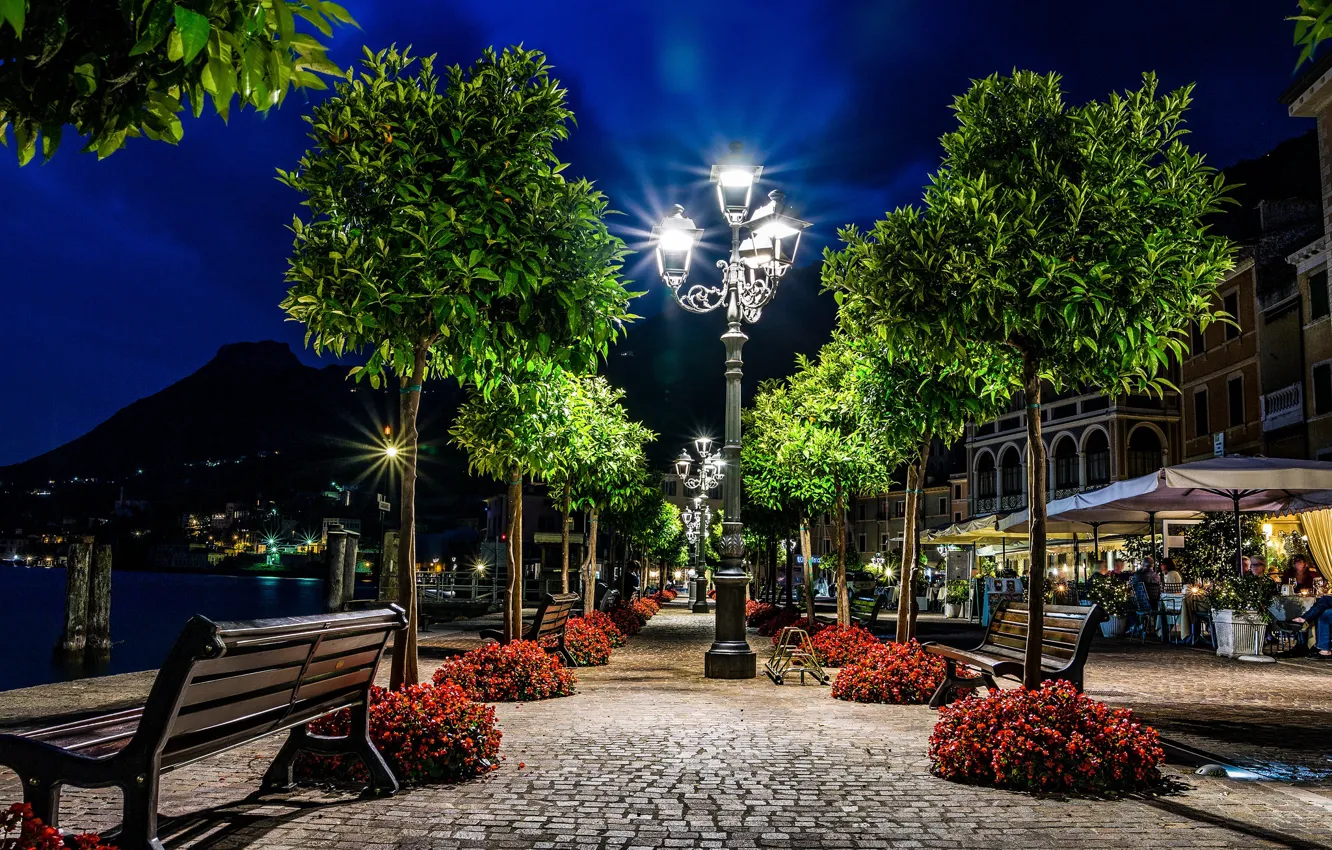 Photo wallpaper trees, night, lights, Italy, Italy, benches, illumination, Lombardy