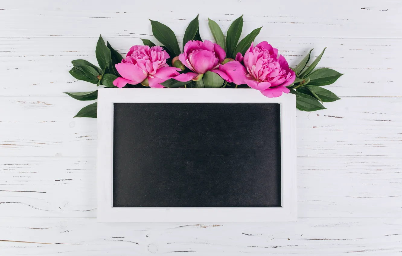 Photo wallpaper flowers, frame, pink, wood, pink, flowers, peonies, peonies