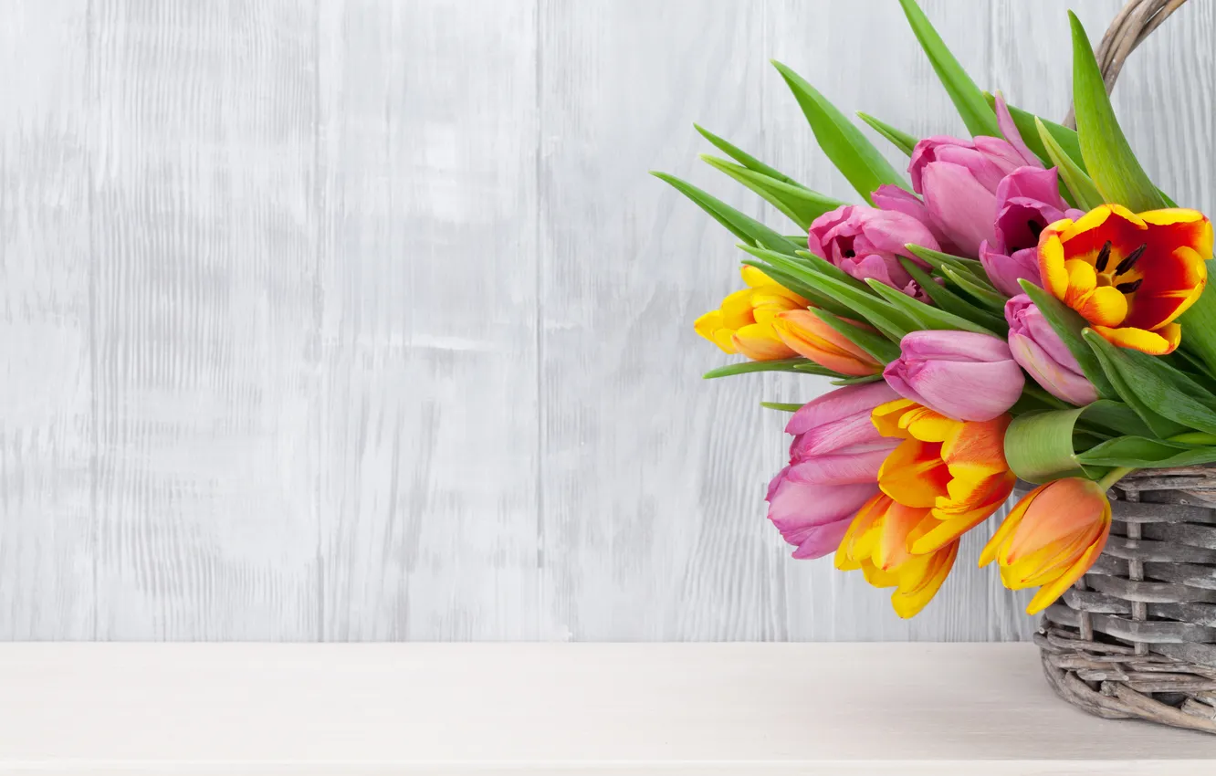 Photo wallpaper flowers, bouquet, colorful, tulips, pink, flowers, tulips, spring