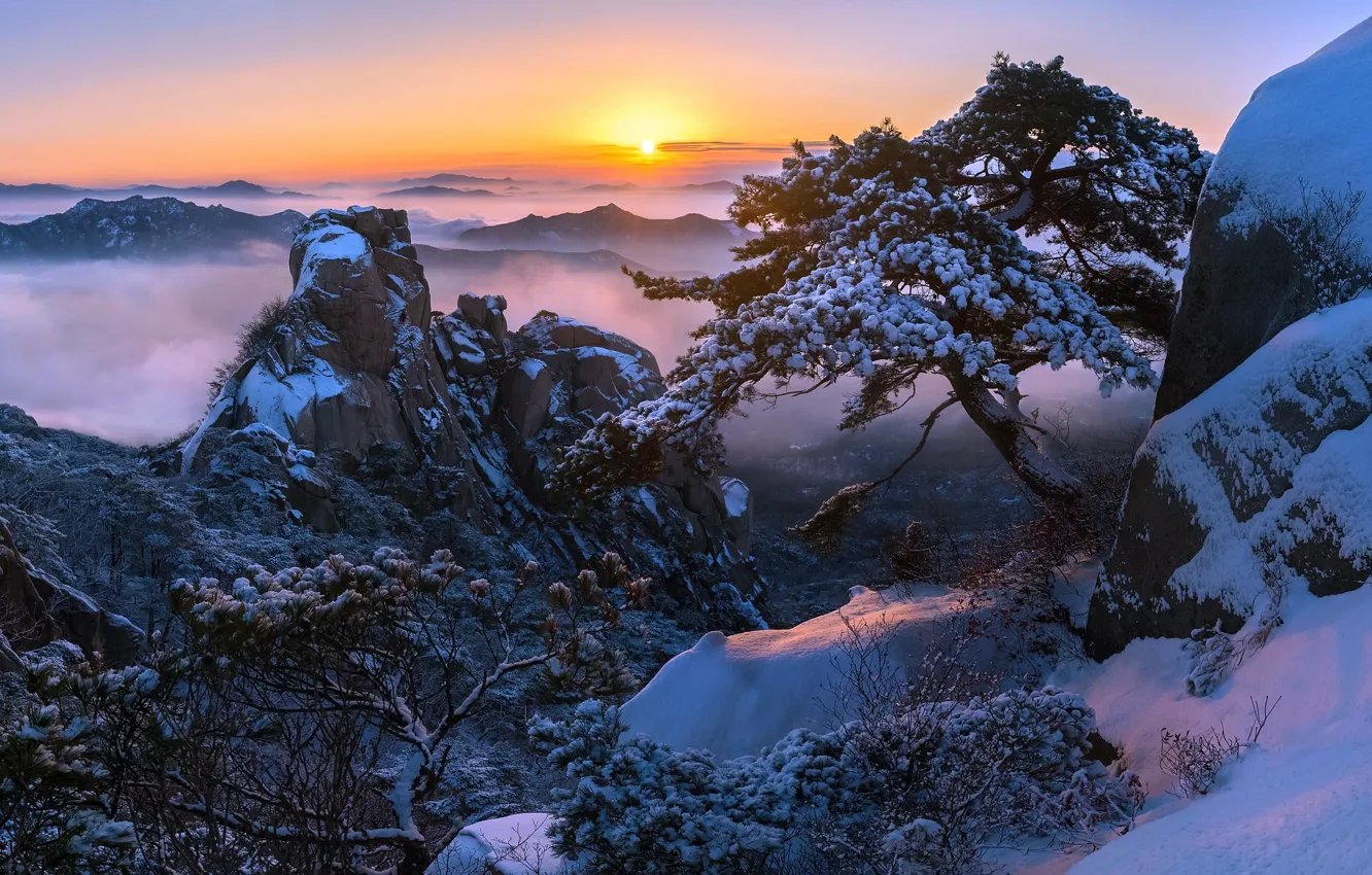 Photo wallpaper winter, the sun, snow, trees, mountains, rocks