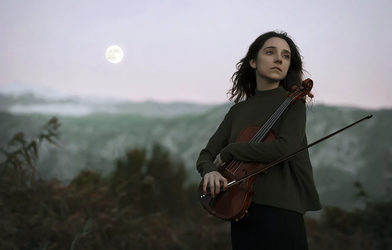 Photo wallpaper girl, music, violin