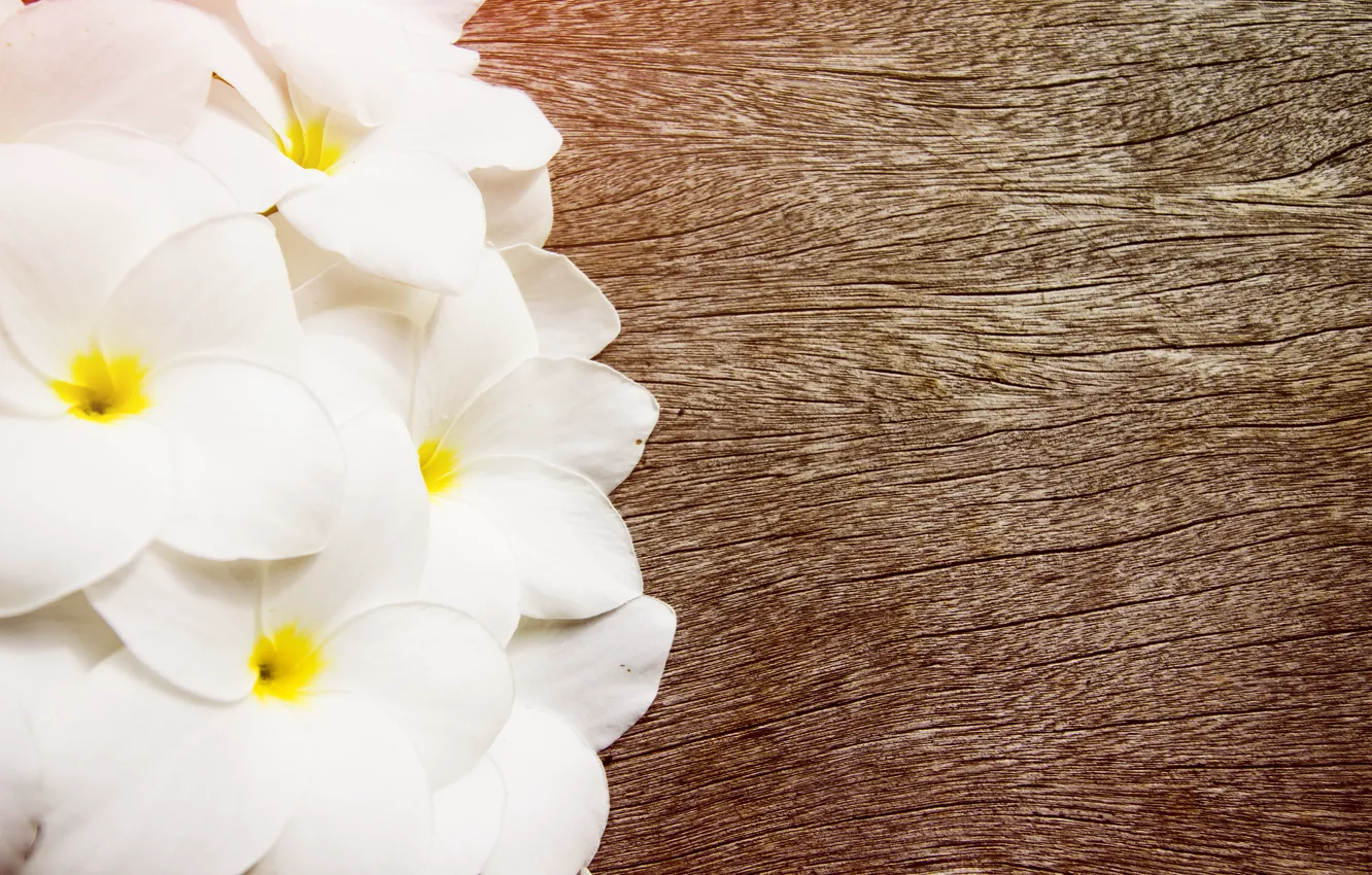 Photo wallpaper flowers, wooden background, plumeria