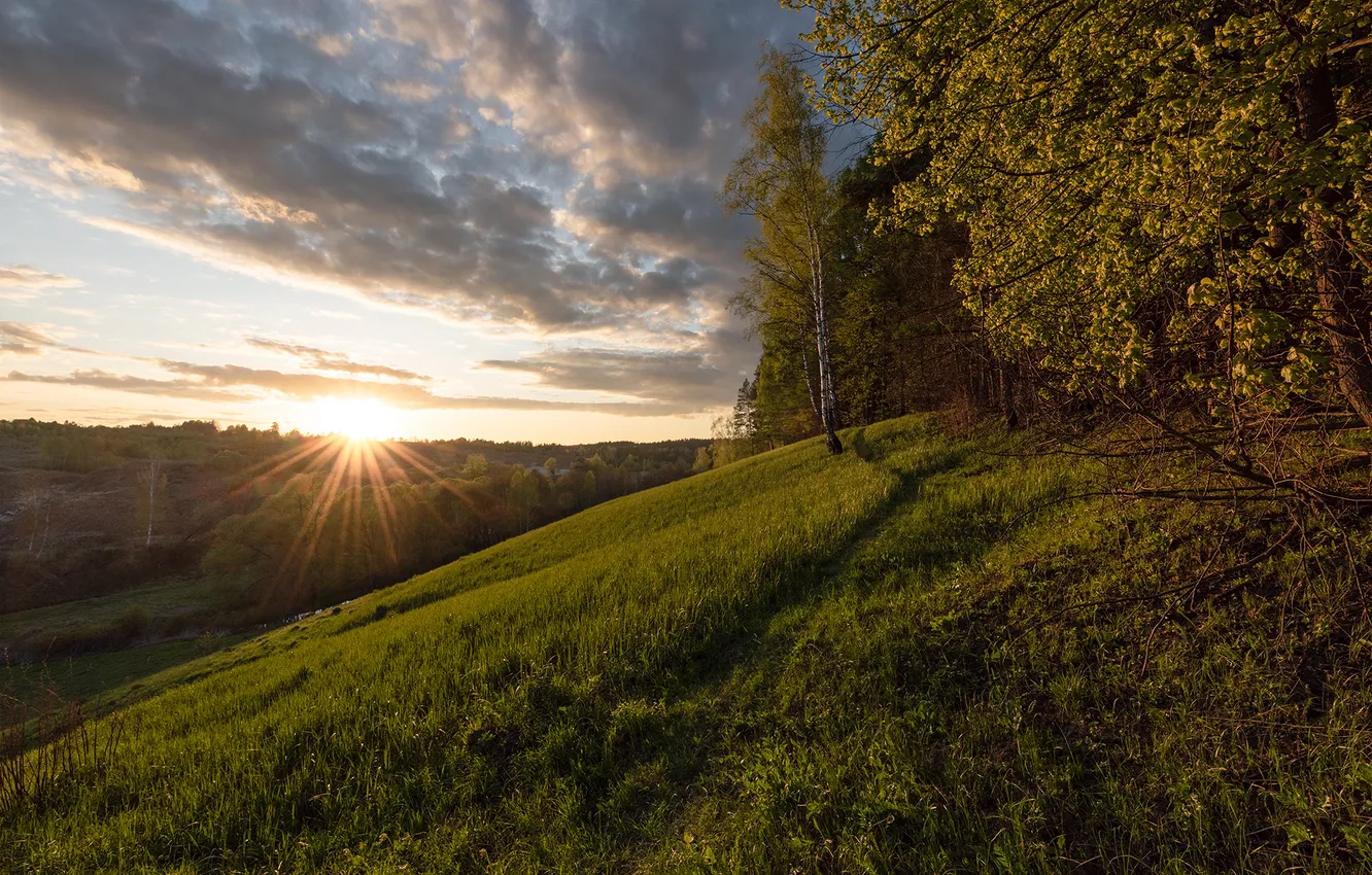 Photo wallpaper clouds, trees, foliage, beauty, morning, slope, space, the sun's rays