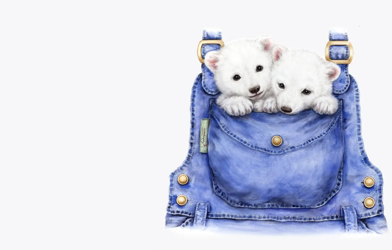 Photo wallpaper mood, art, bear, pocket, children's