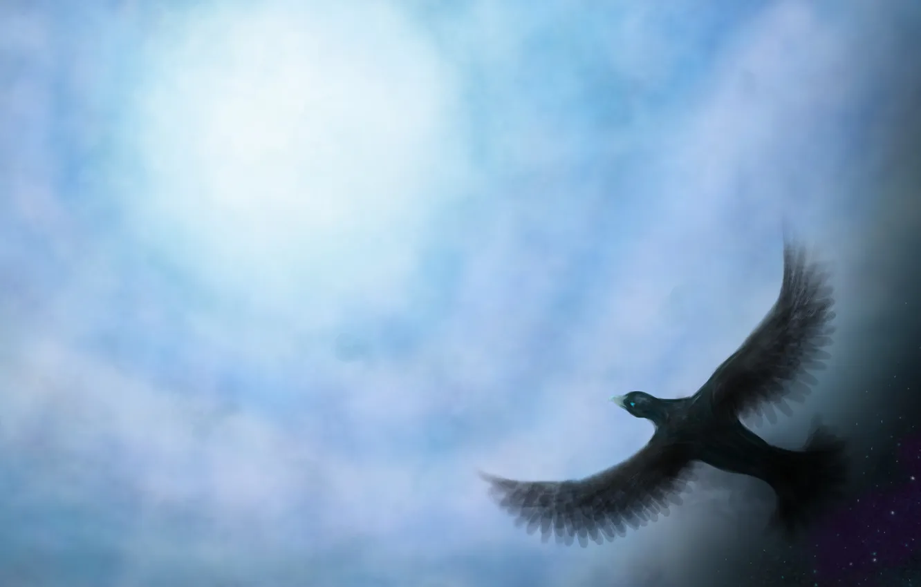 Photo wallpaper the sky, stars, flight, blue, bird, wings, art