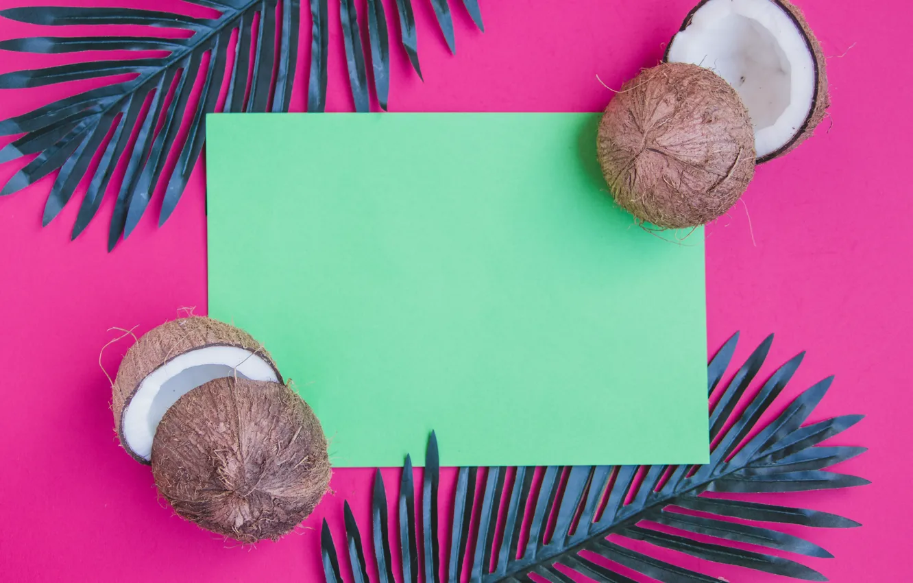 Photo wallpaper leaves, coconut, flowers, leaves, coconut