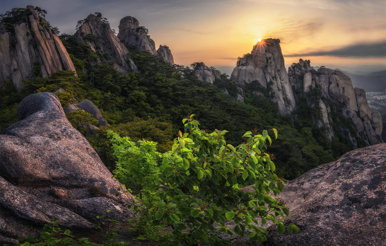 Photo wallpaper mountains, rocks, vegetation