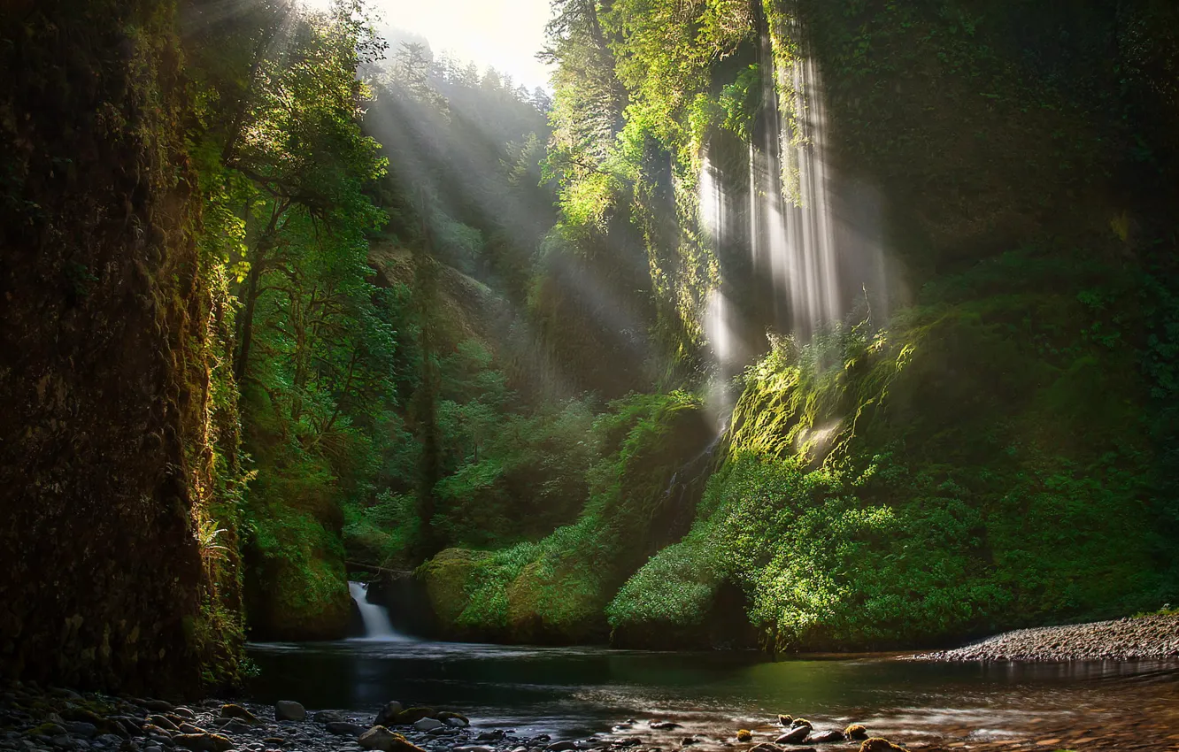 Photo wallpaper forest, rocks, waterfall