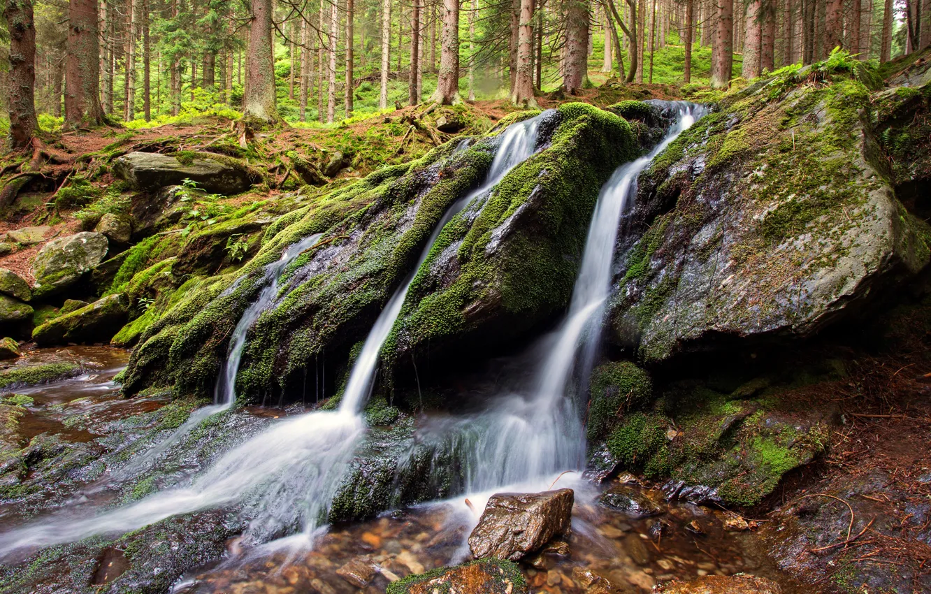 Photo wallpaper forest, stones, waterfall, moss, stream, boulders