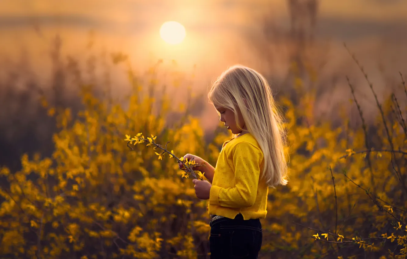 Photo wallpaper the sun, sprig, spring, girl, yellow