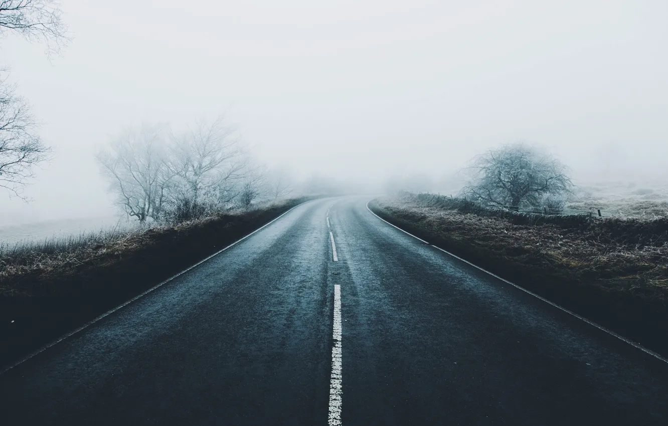 Photo wallpaper frost, road, trees, fog