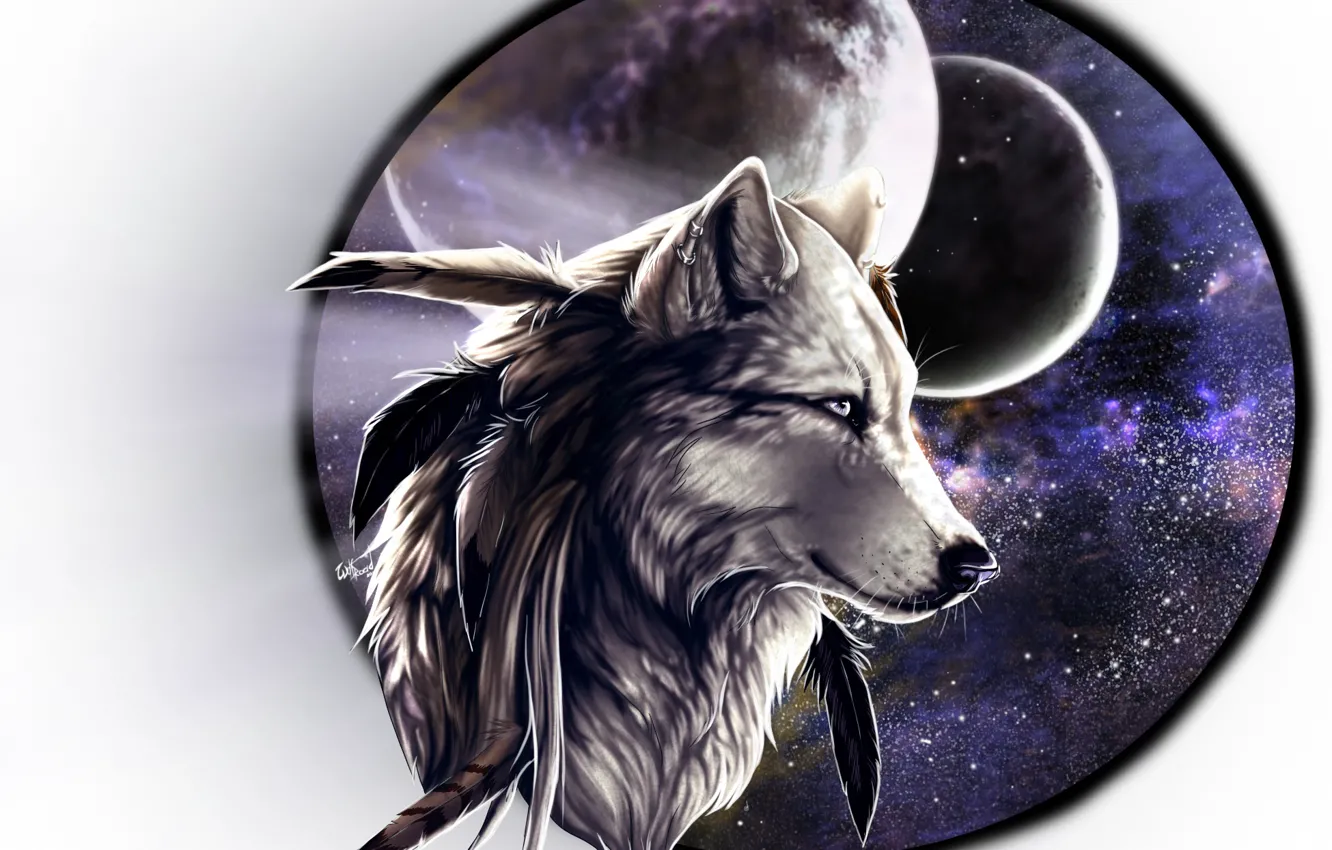 Photo wallpaper background, wolf, frame