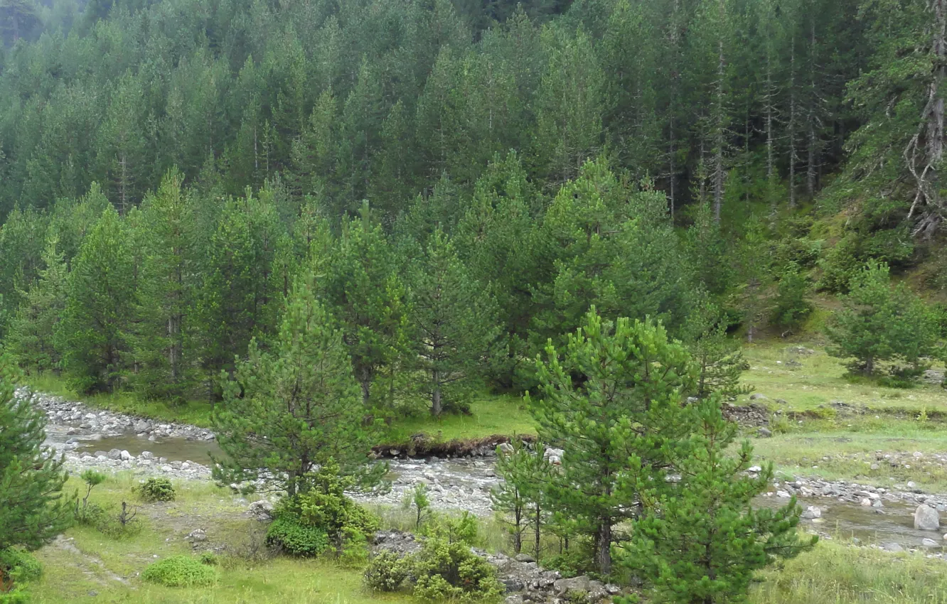 Photo wallpaper Pindus mountains, Grevena, Smixi village