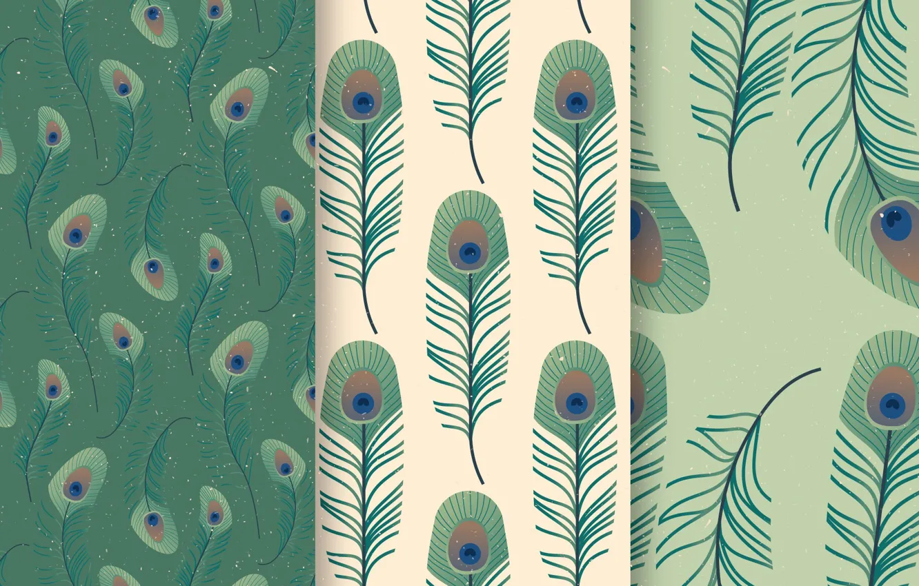 Photo wallpaper background, texture, pattern, Collection, feather, peacock