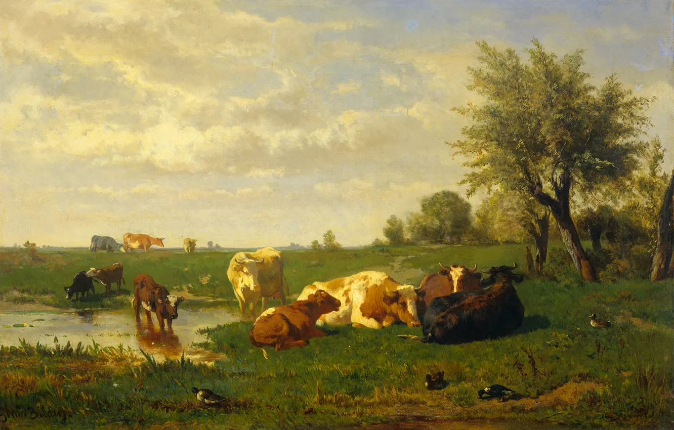 Photo wallpaper landscape, picture, Cows on the Meadow, Albert Gerard Bilders