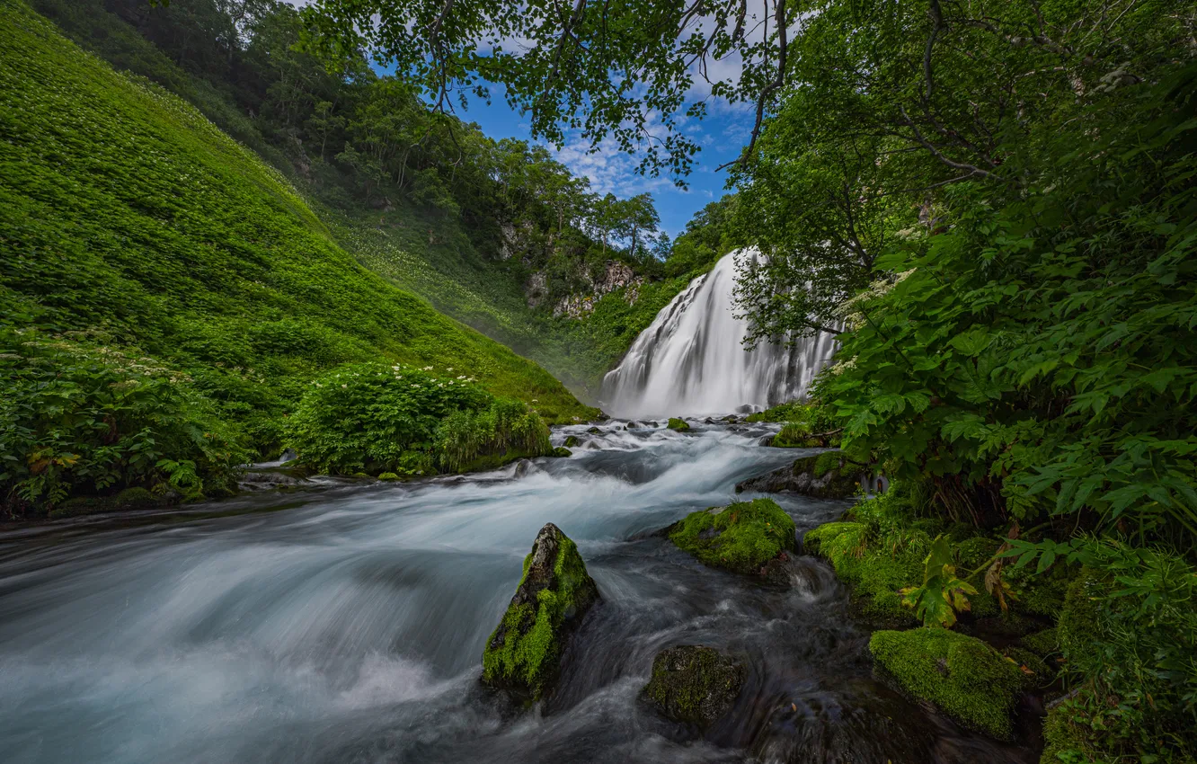 Photo wallpaper forest, river, waterfall, slope, Russia, Kamchatka, Alexander Mukhin, Olga Waterfall